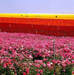 托德确认《星空》主机Mod支持和新创作套件即将推出