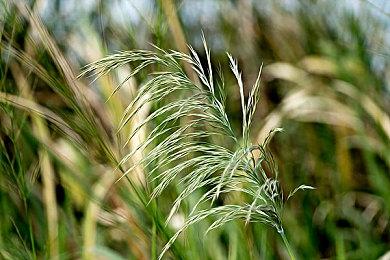 《谁闭了马克斯叔叔的麦?》开启预购 3月18日上线